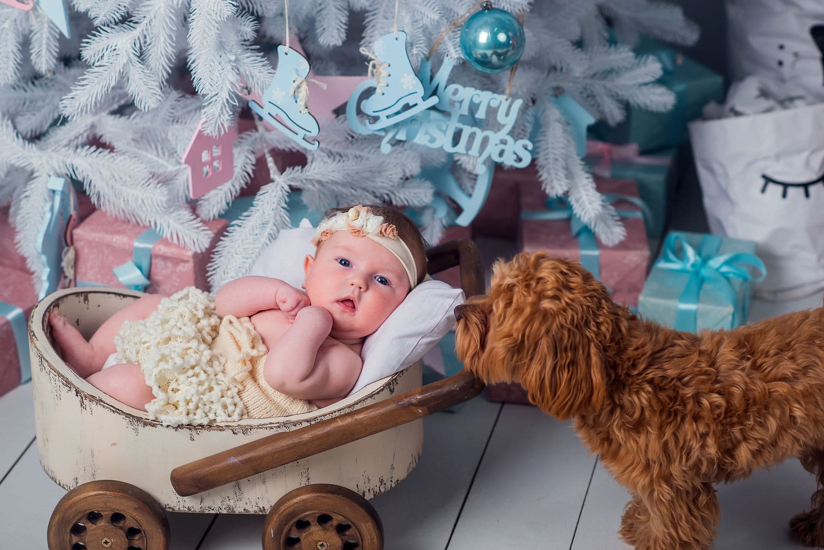 Adorable baby sitter milestone photography